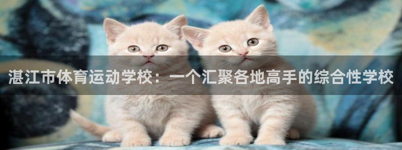 酷玩体育app