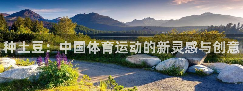 酷玩体育app