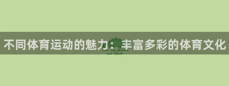 酷玩体育登录即领礼包入口：不同体育运动的魅力：丰富多彩的体育文化