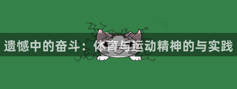 关键词：遗憾中的奋斗：体育与运动精神的与实践